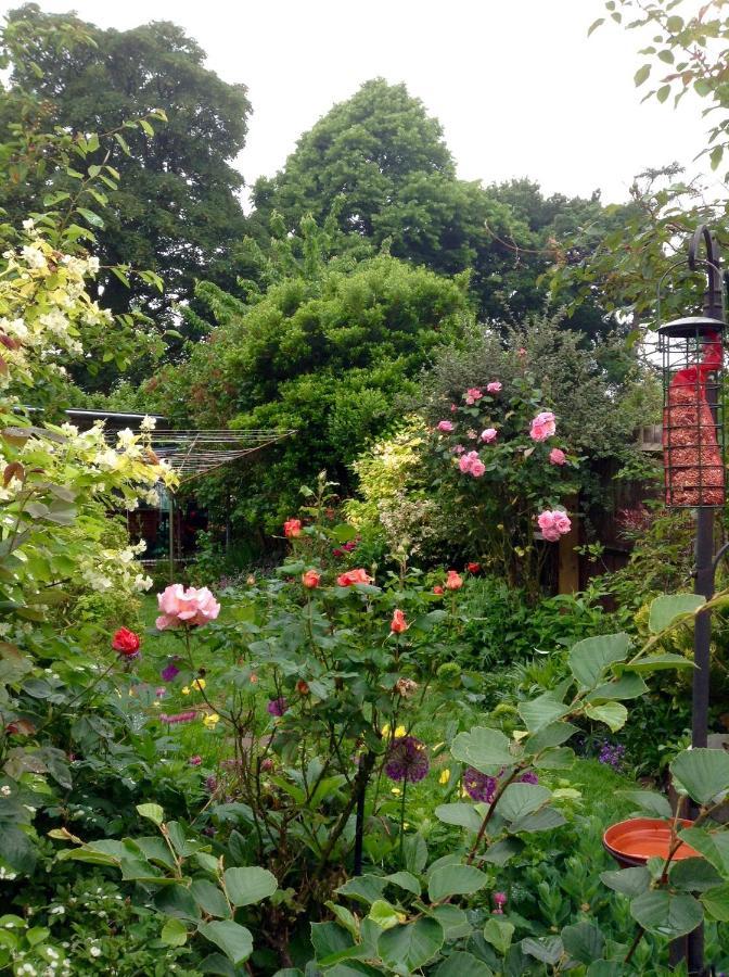 Hyacinth Bed & Breakfast Somerset  Esterno foto