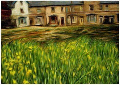 Hyacinth Bed & Breakfast Somerset  Esterno foto